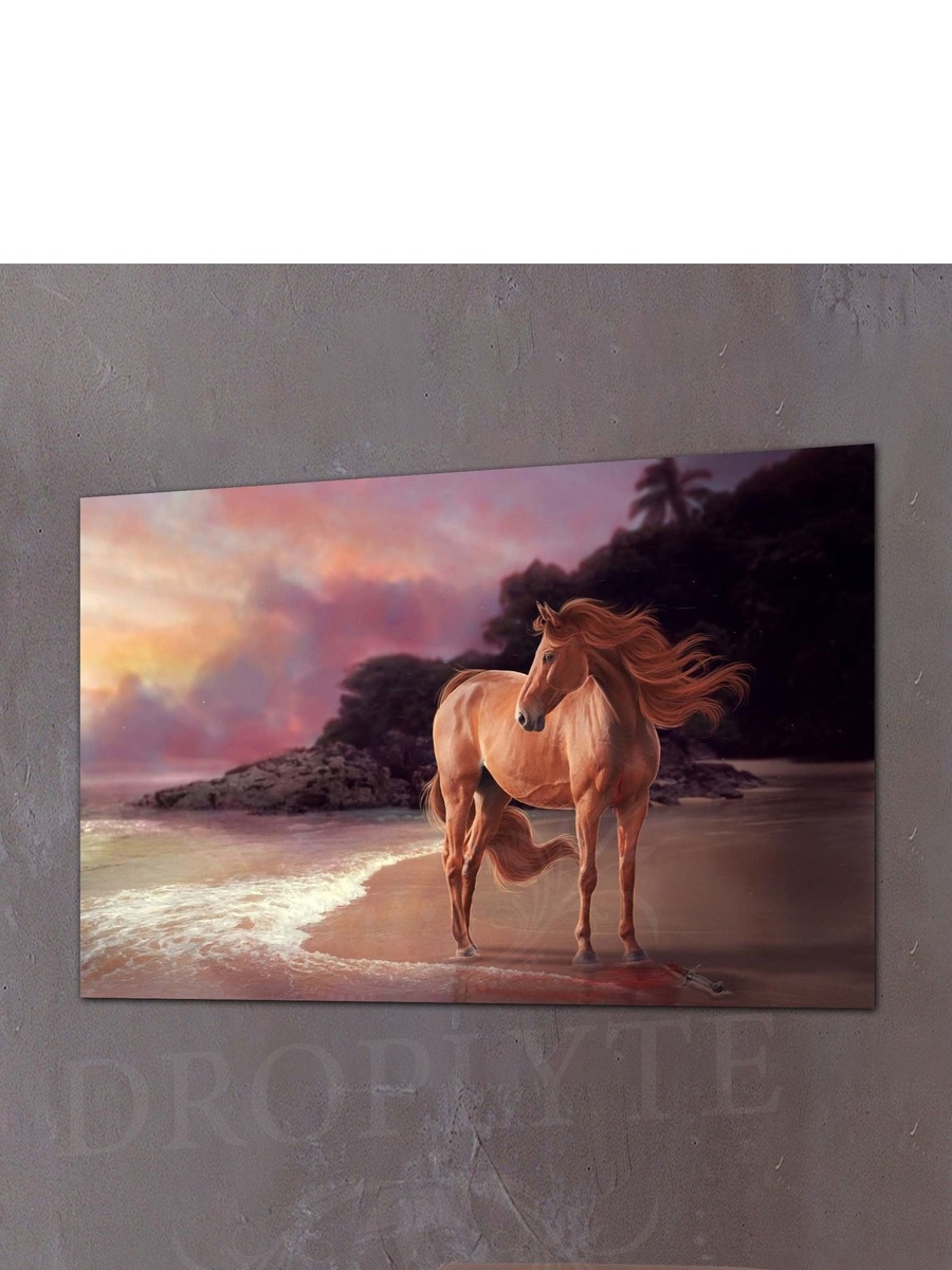 Brown Horse in the Evening Decorative Wall Art, 60cm x 40cm