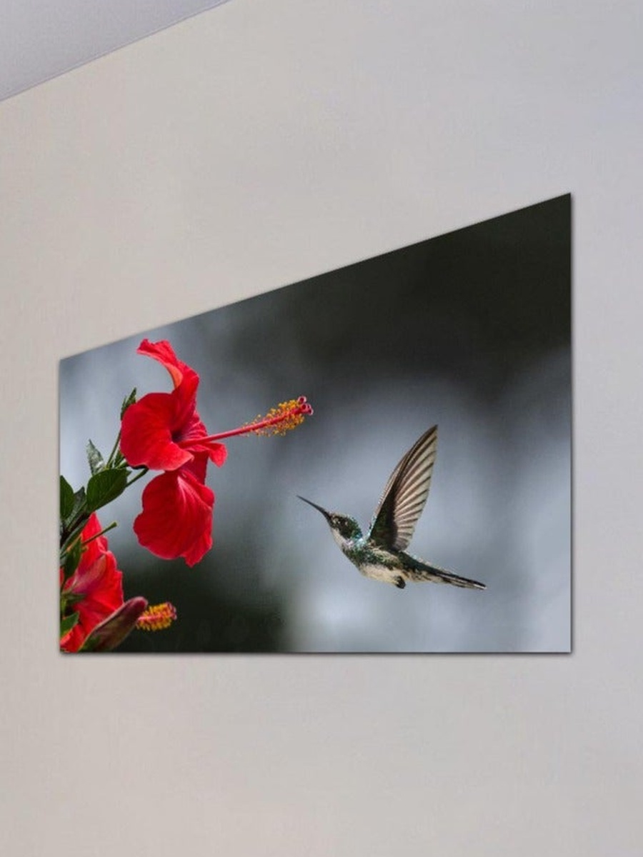 Multicolor Humming Bird Canvas Decorative Wall Art, 60cm x 40cm