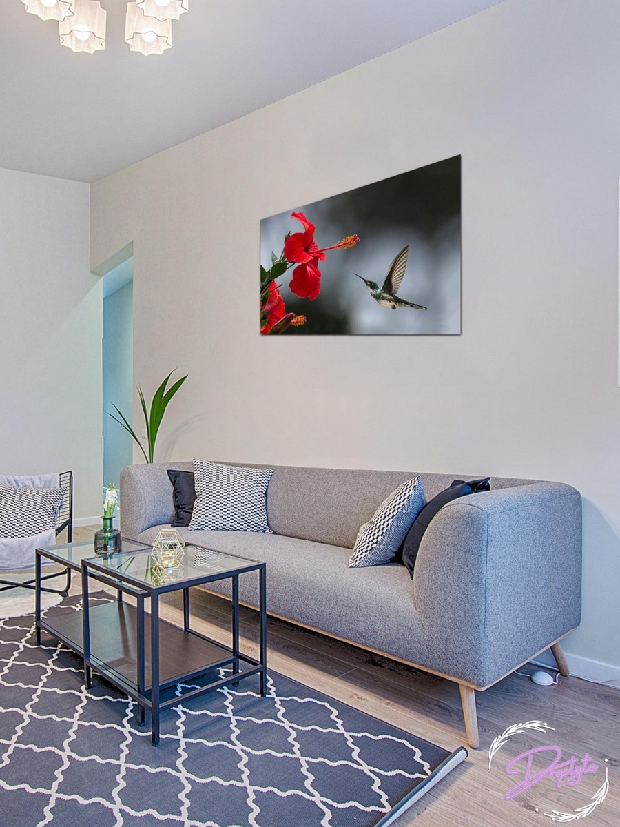 Multicolor Humming Bird Canvas Decorative Wall Art, 60cm x 40cm