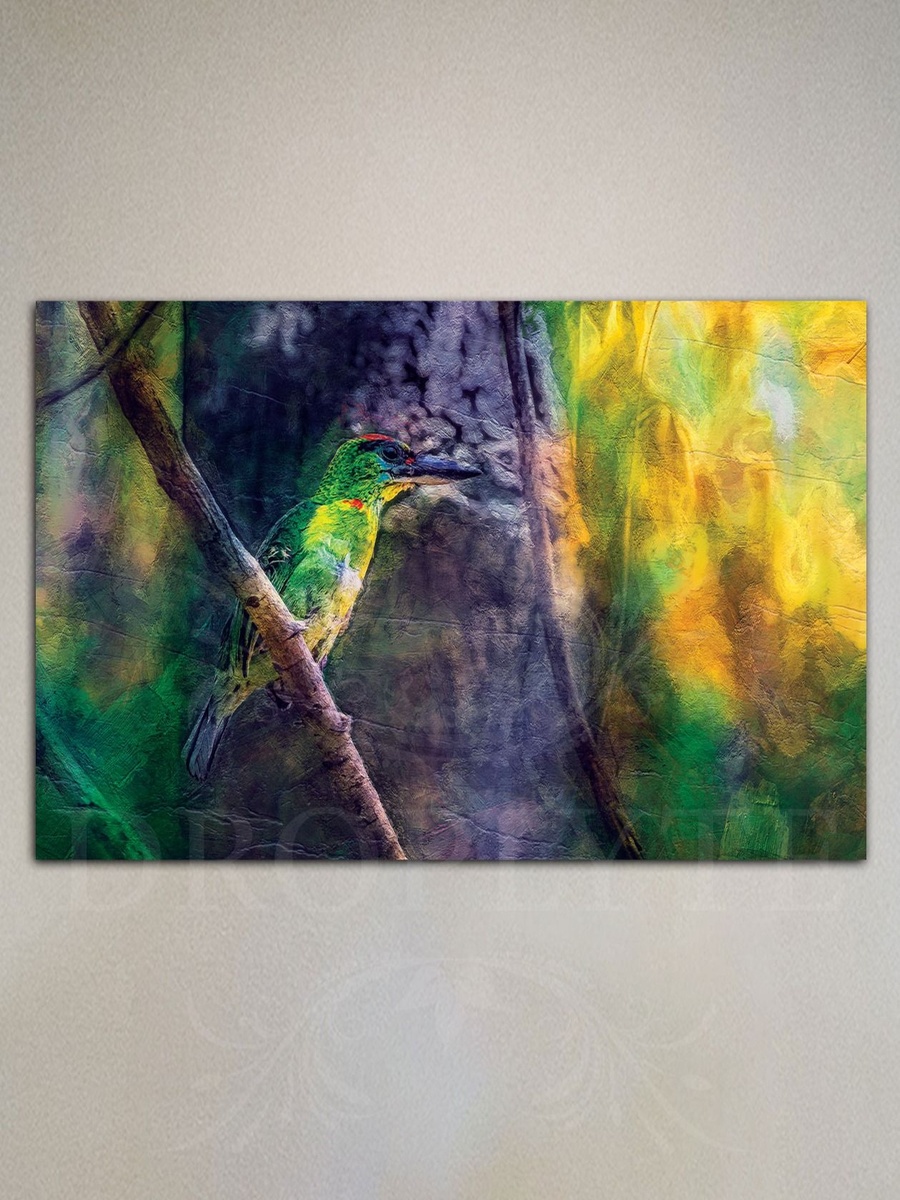 لوحة جدارية ديكورية لرسم طائر جذاب، 60 سم × 40 سم