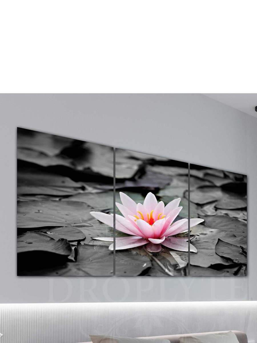 3-Piece Pink Flower in the Water Decorative Wall Art, 120cm x 60cm
