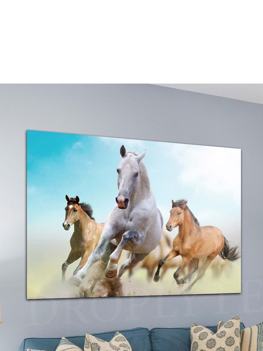 Beautiful Running Horses Decorative Wall Art, 60cm x 40cm