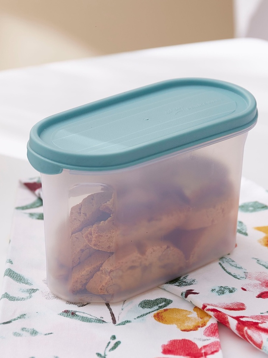 Easy Store Oval Container - 1.2 L