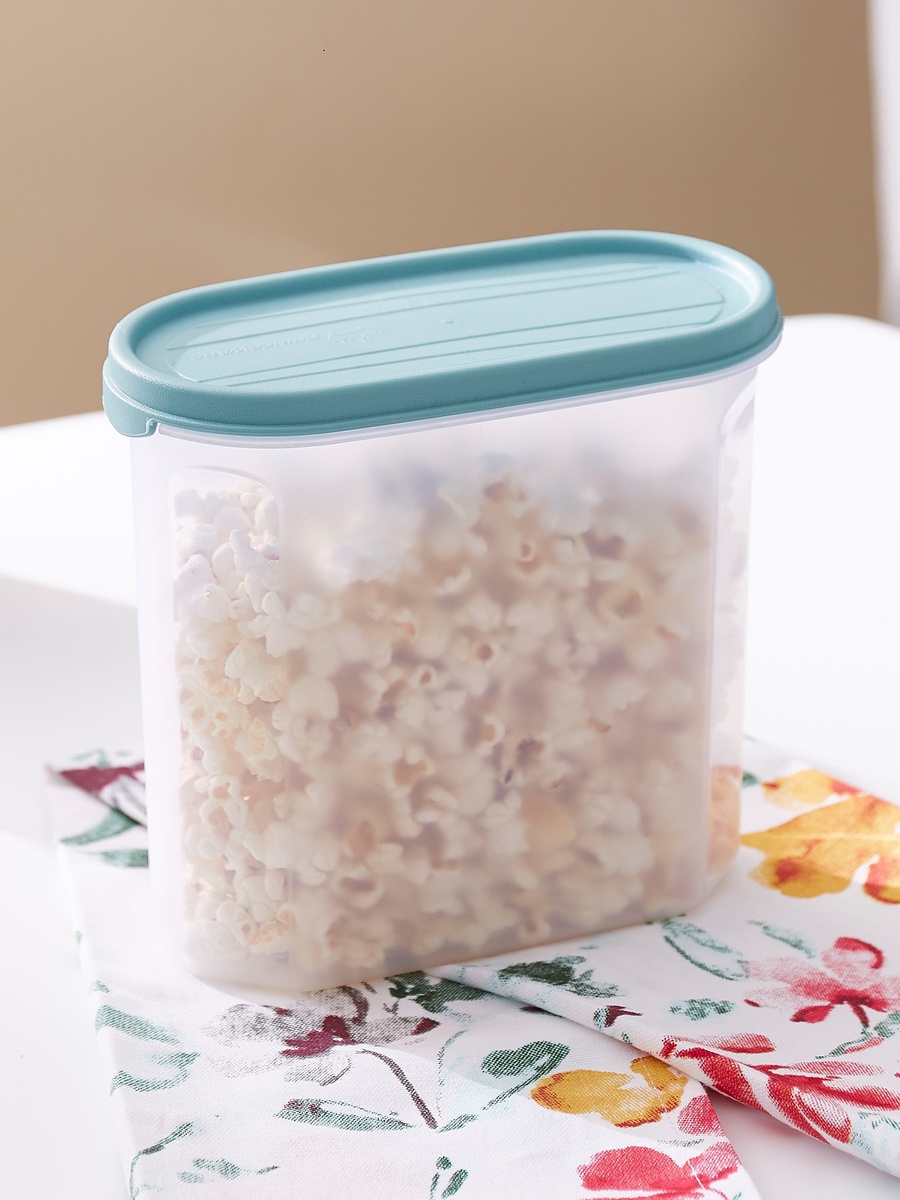 Easy Store Oval Container - 1.8 L