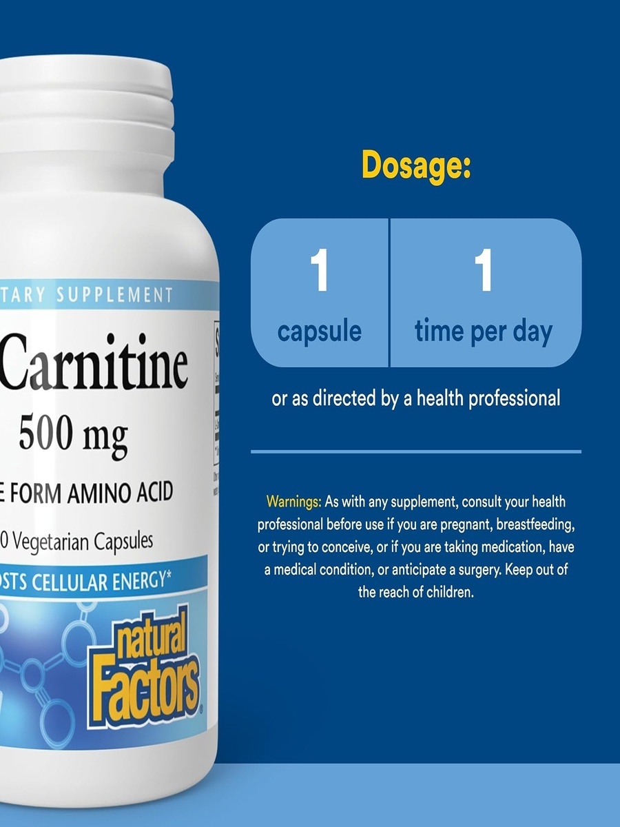 L-Carnitine 500 mg | Unflavored | Energy Management | L-Carnitine, Free Form Amino Acid |  60 Vegetarian Capsules