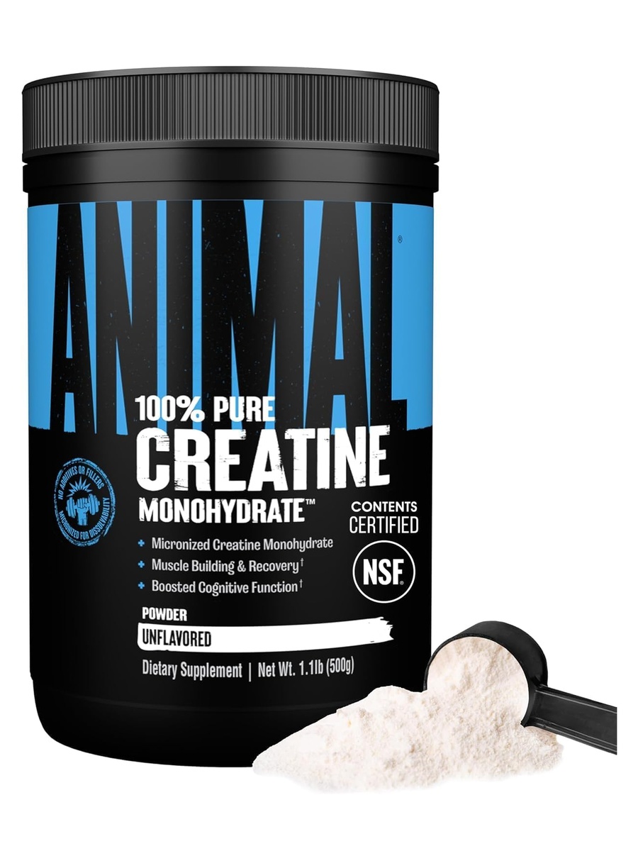 Micronized Creatine - Delay Muscle Fatigue | Unflavored, 500 g | Muscle Growth | Creatine | 100 Servings