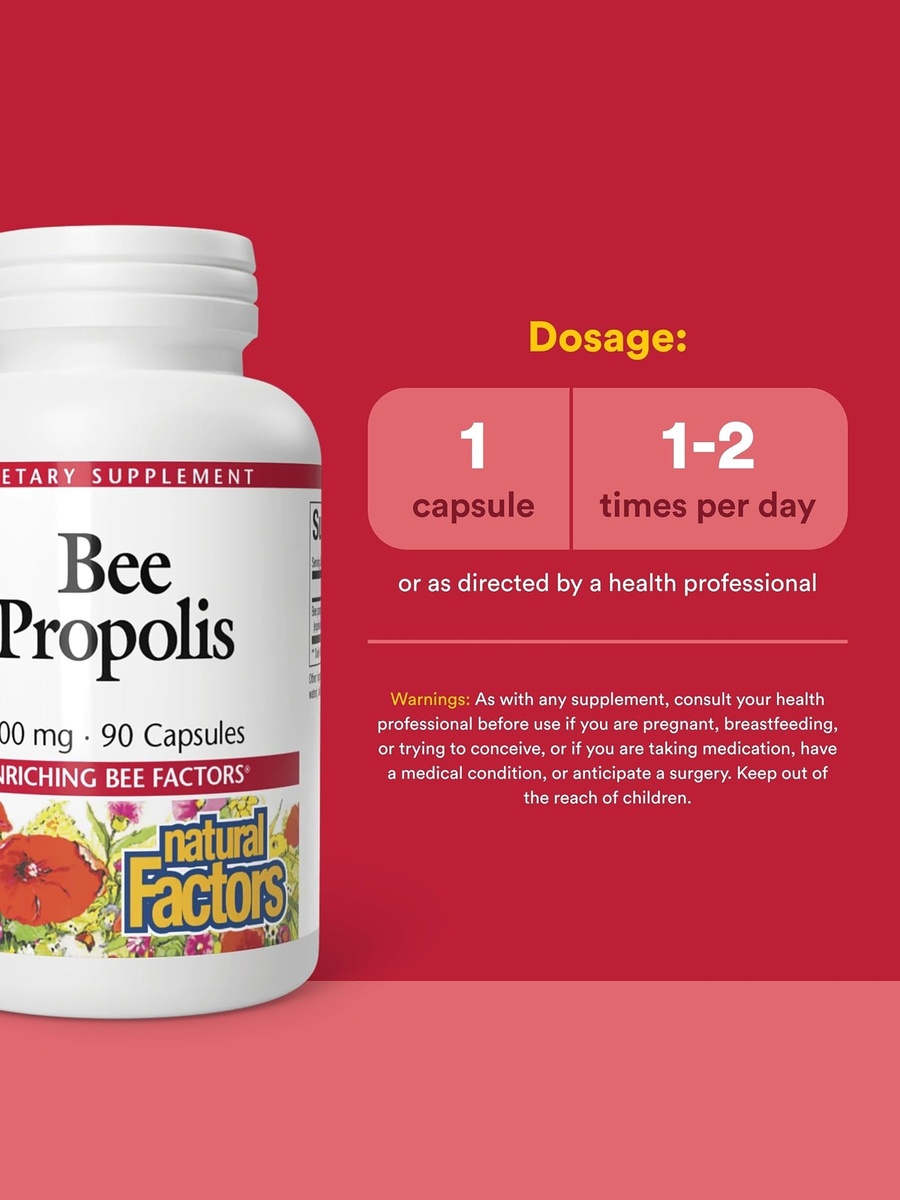 Bee Propolis, 500 Mg | Energy Management Support | Vitamins and Minerals | 90 Capsules
