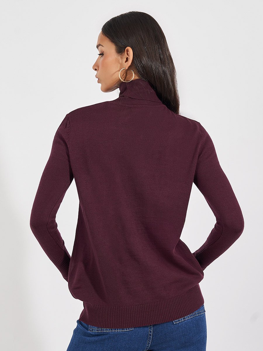 Slim Fit Turtle Neck Sweater with Button Cuff Detail