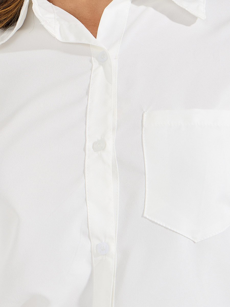 Regular Fit Solid Button Down Shirt