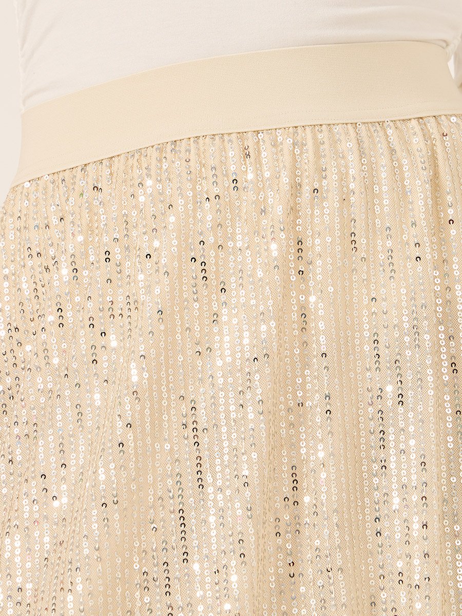 Sequin Embellished A-Line Midi Skirt