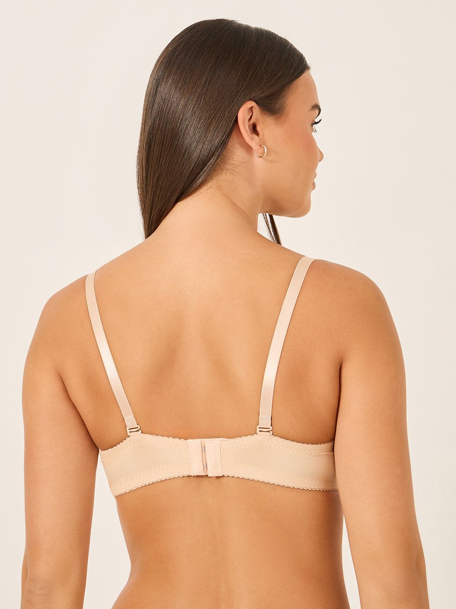 Solid Lace and Bow Detail Padded Wired Push Up Bra