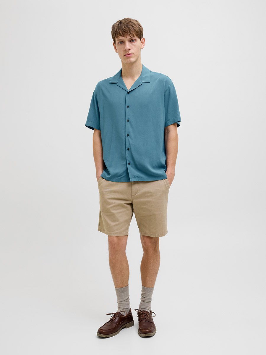Solid Regular Fit Spread Collar Shirt