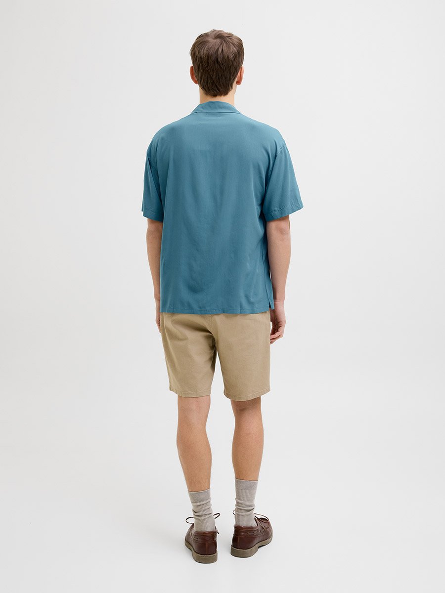 Solid Regular Fit Spread Collar Shirt