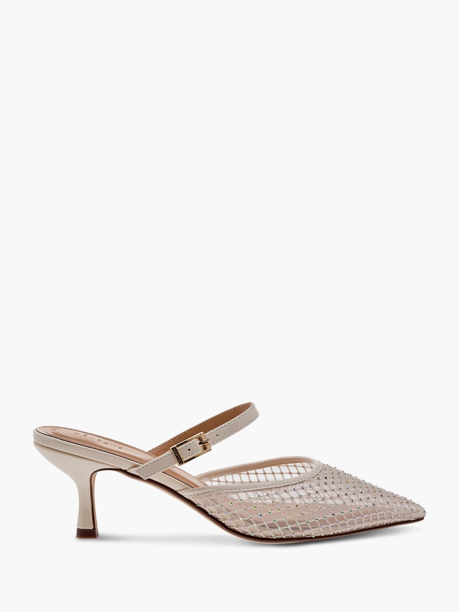 Embellished Pointed Toe Shoes with Kitten Heels