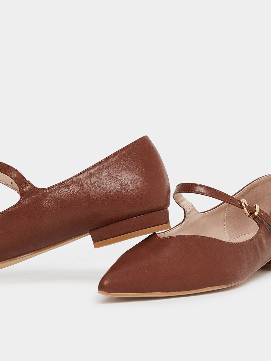 Abha Pointed Toe Buckle Flat Shoes