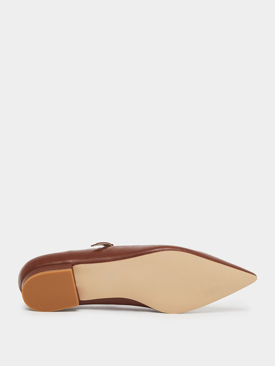 Abha Pointed Toe Buckle Flat Shoes
