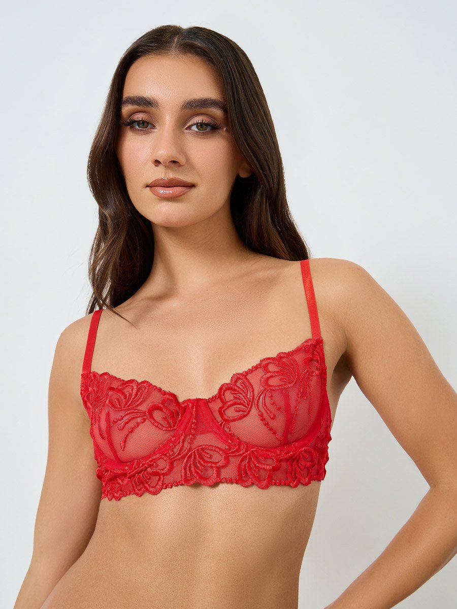 Embroidered Mesh Wired Bra with Thong Set