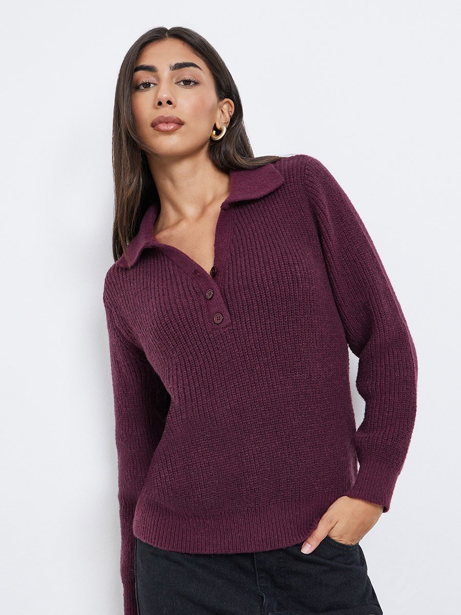Burgundy Regular Fit Knit Sweater with Button Placket