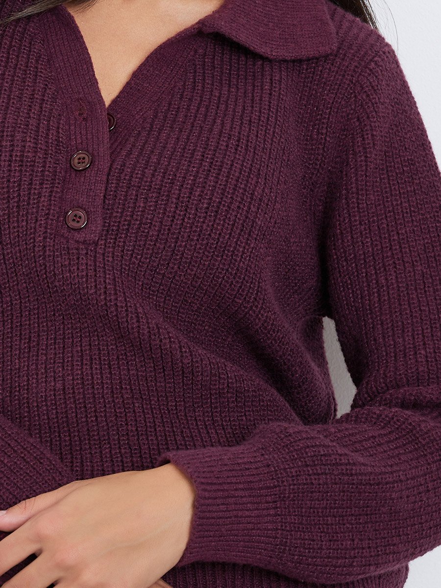 Burgundy Regular Fit Knit Sweater with Button Placket