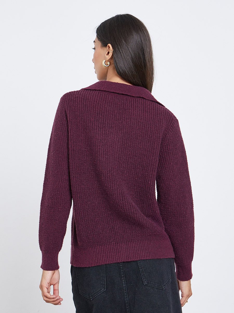 Burgundy Regular Fit Knit Sweater with Button Placket