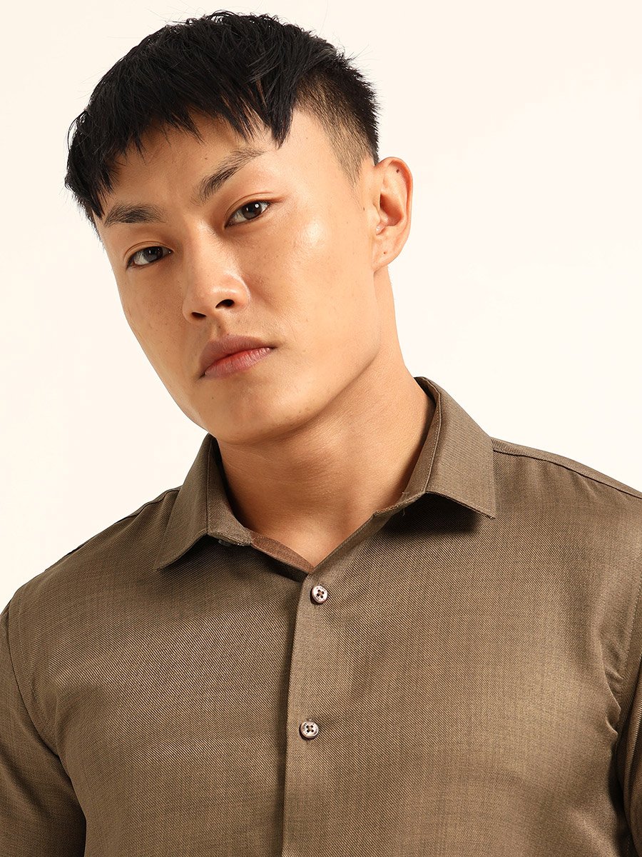 Men Brown Classic Casual Shirt