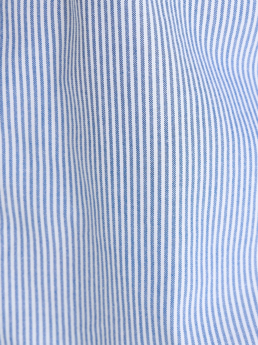 Striped Oxford Shirt