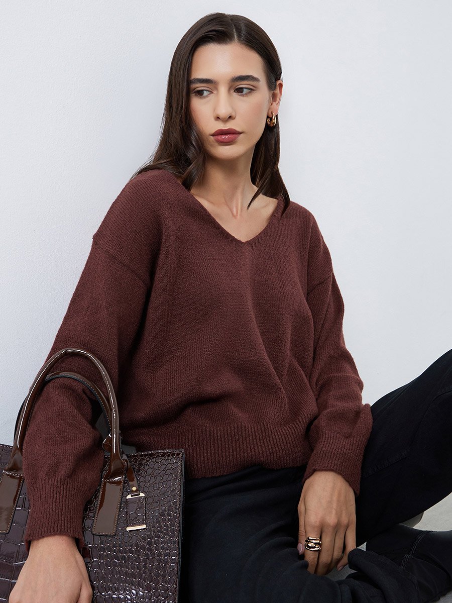 Brown Regular Fit V-Neck Sweater