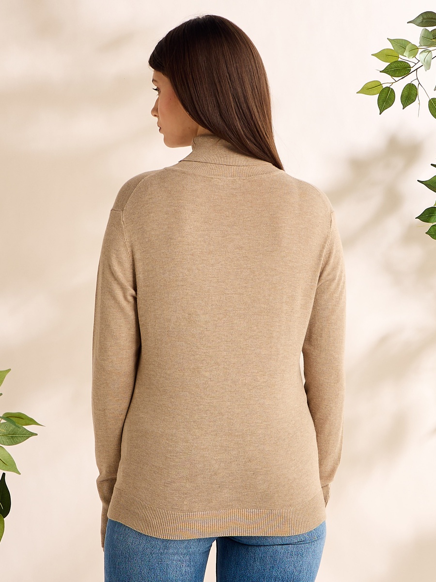 Plain Turtleneck Sweater with Button Accent