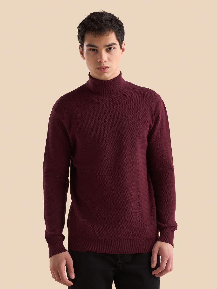Textured Turtle Neck Sweater