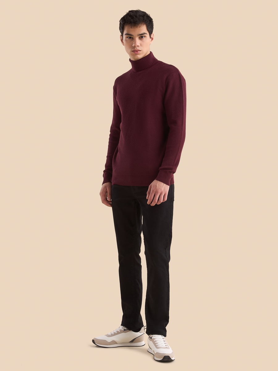 Textured Turtle Neck Sweater