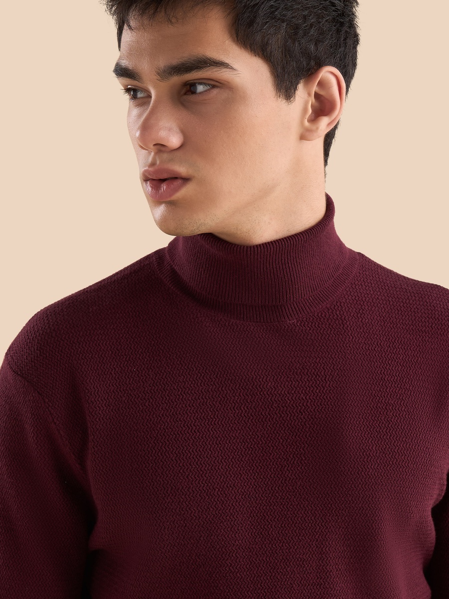 Textured Turtle Neck Sweater