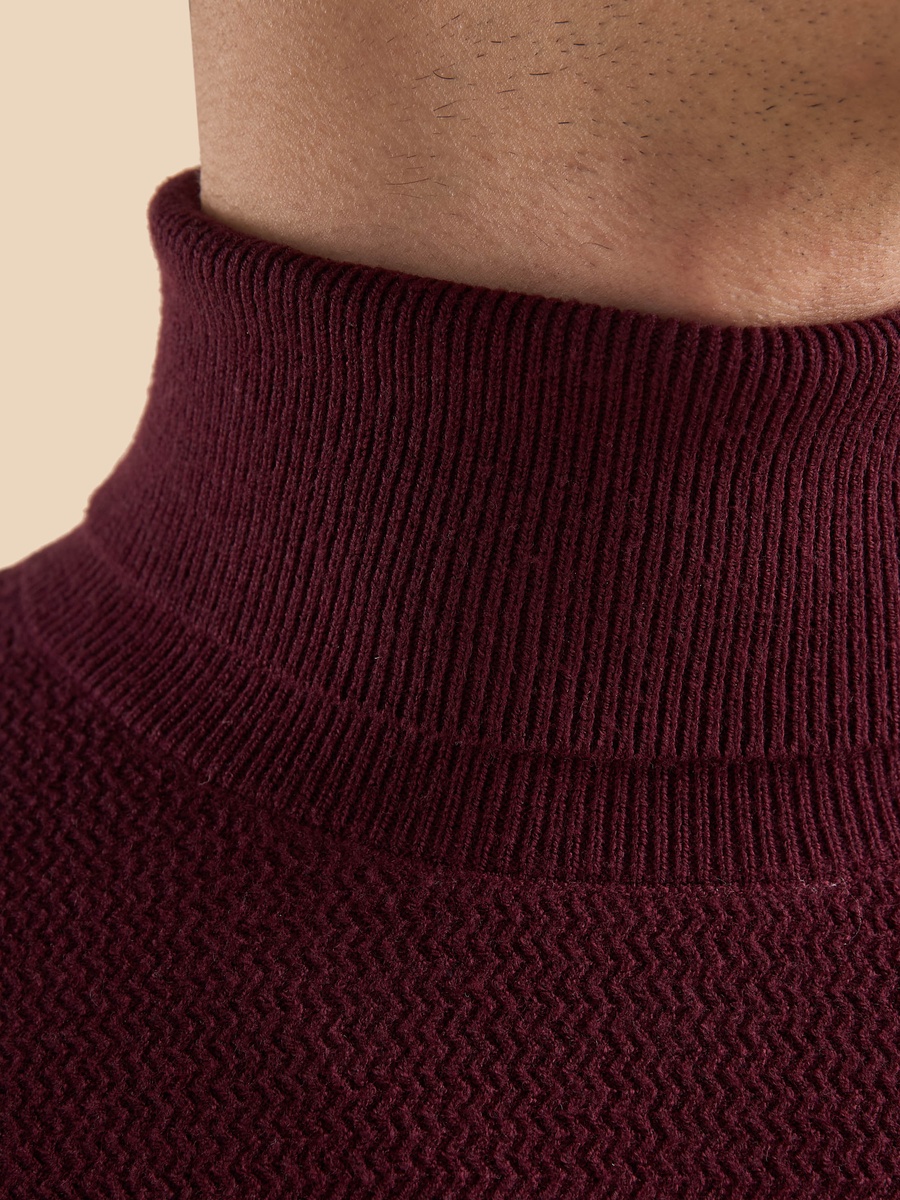 Textured Turtle Neck Sweater
