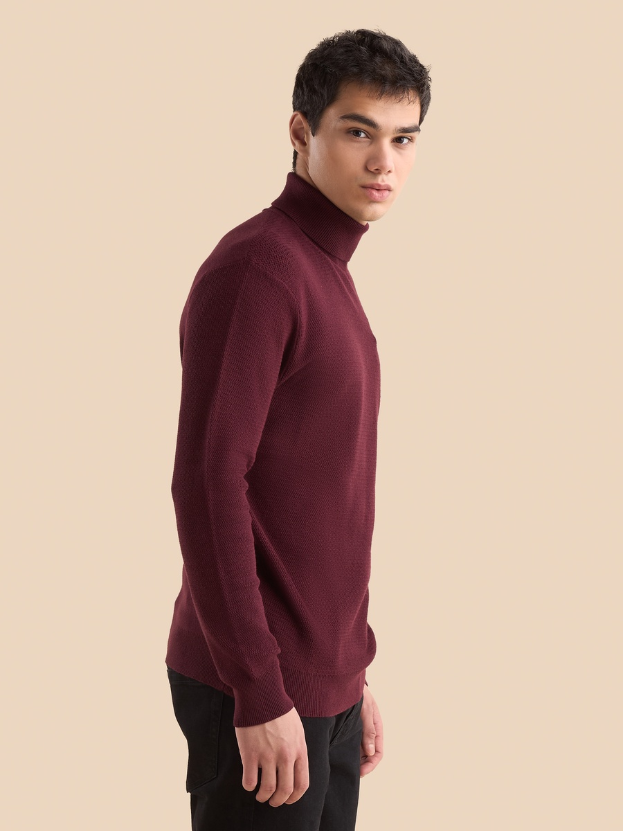 Textured Turtle Neck Sweater