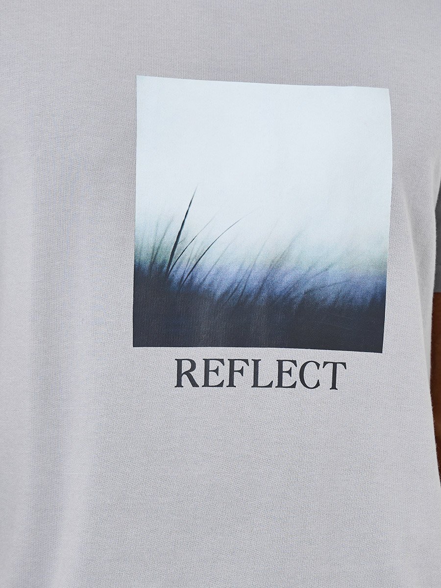 Men Grey Graphic Print Regular Fit T-Shirt