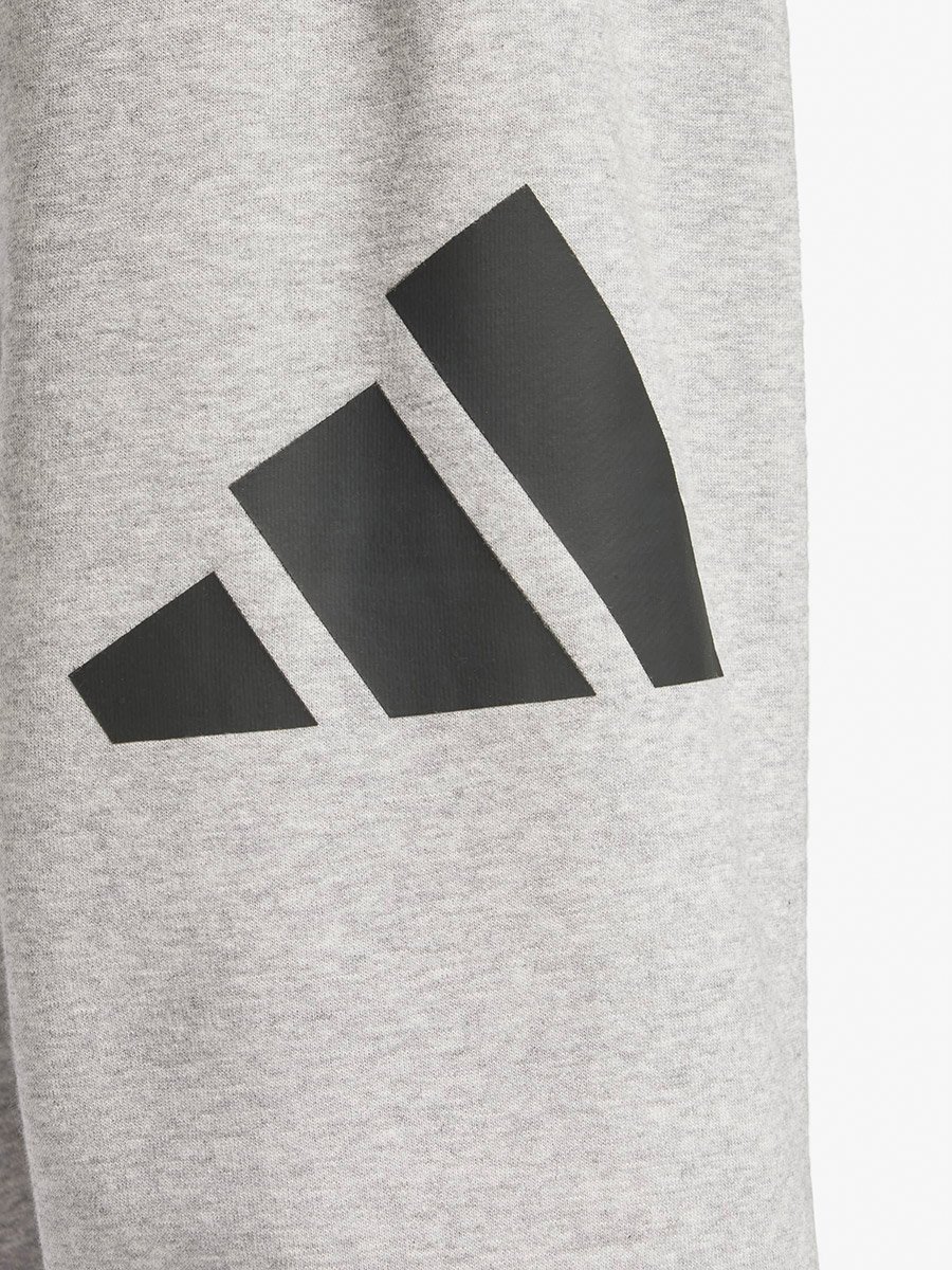 Essentials Big Logo French Terry Men Pants Grey