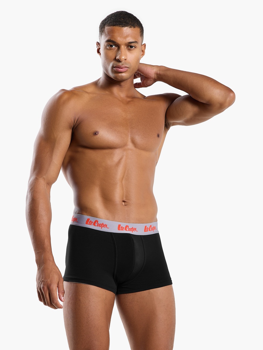 Set of 5 - Assorted Trunks
