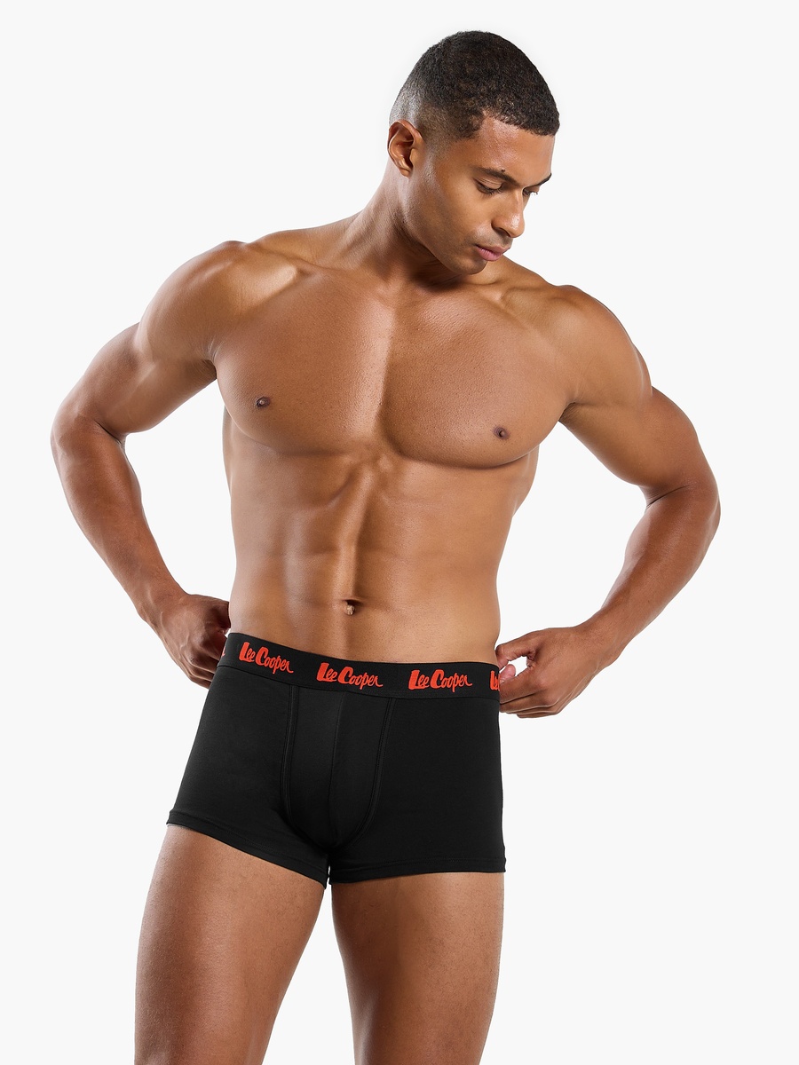 Set of 5 - Assorted Trunks