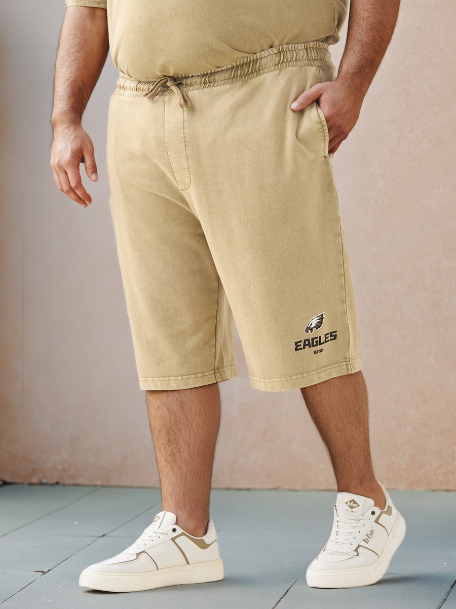 Plus Size Eagles Print Regular Fit Shorts