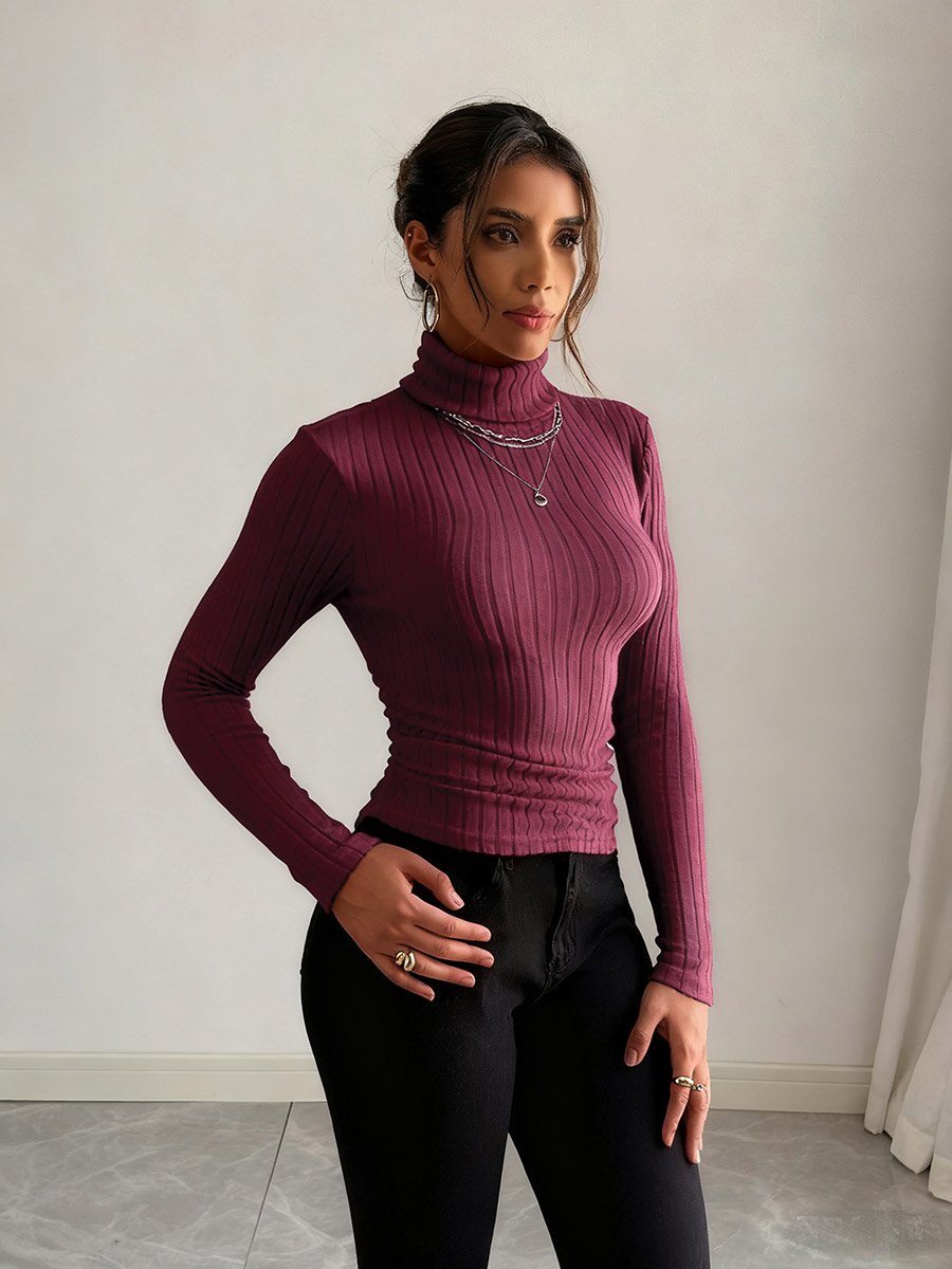 Women Burgundy Ribbed Turtleneck Top