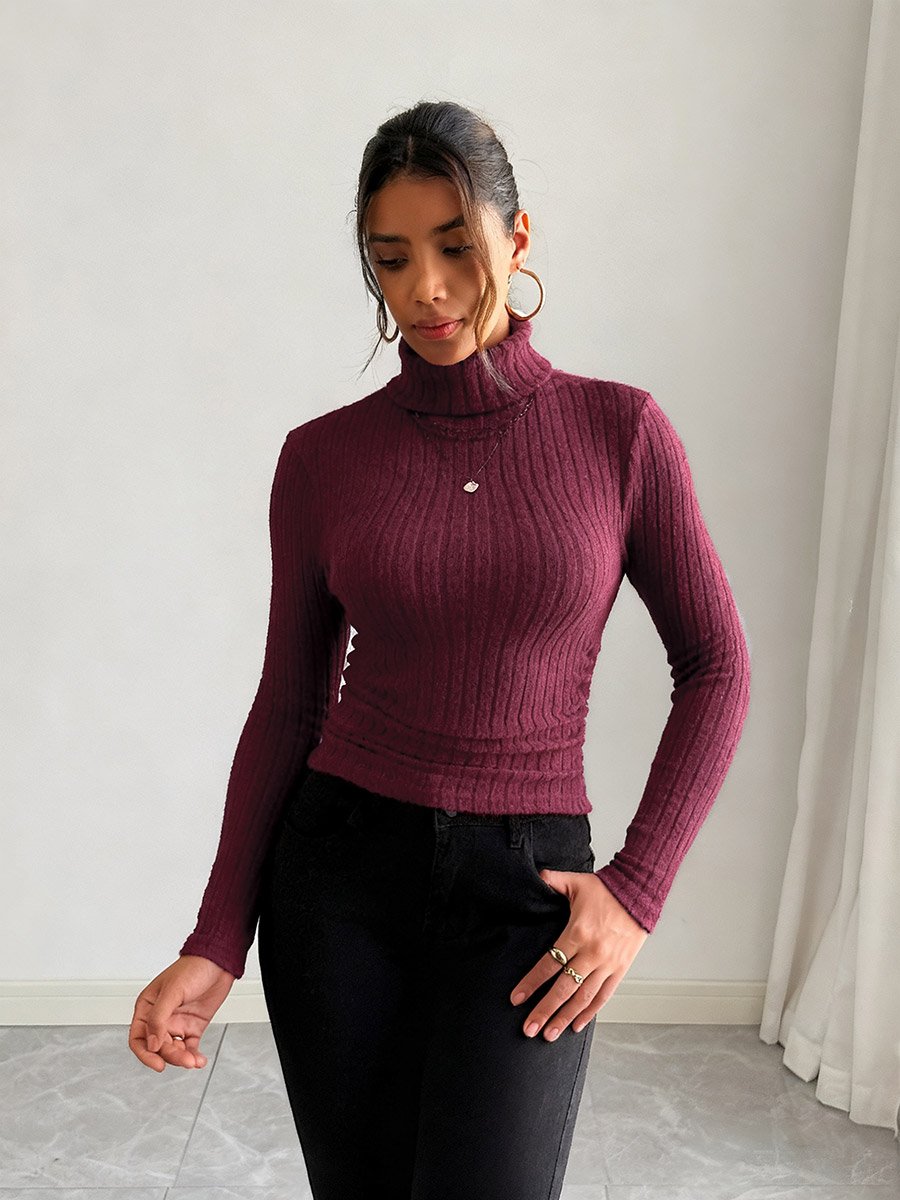 Women Burgundy Ribbed Turtleneck Top