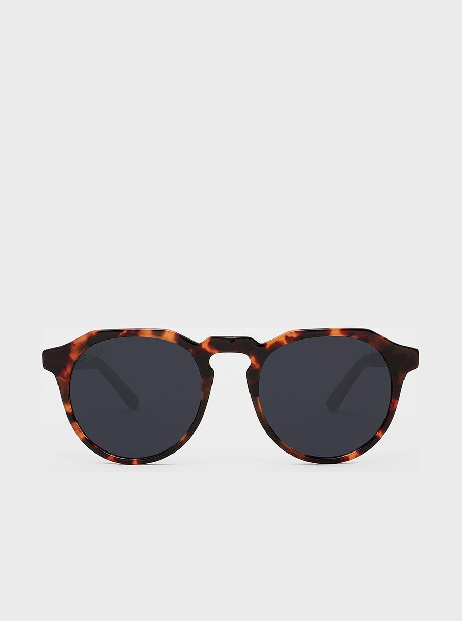 Carey - Dark Warwick X Sunglasses