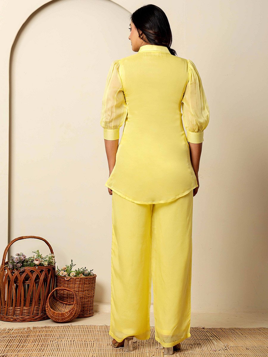 Women Yellow Embroidered Organza Top and Pants Co-Ords