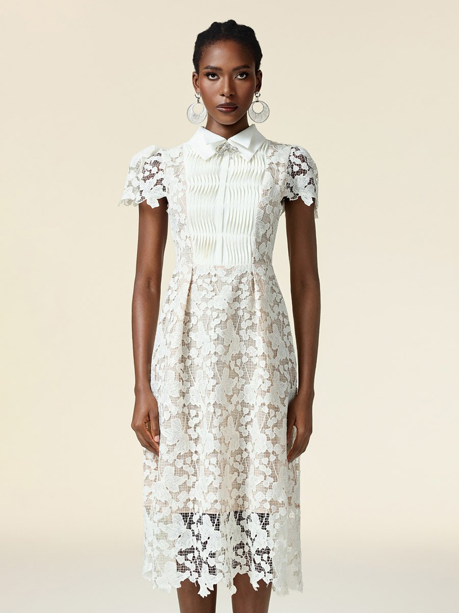 lace collared midi dress Oasis Women's Occasion Lace Collared Midi Dress