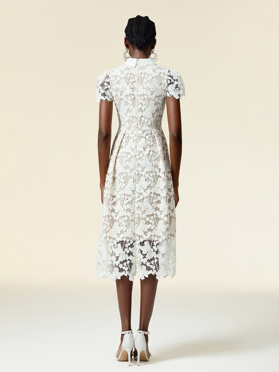 Women White Lace Collared Midi Dress 