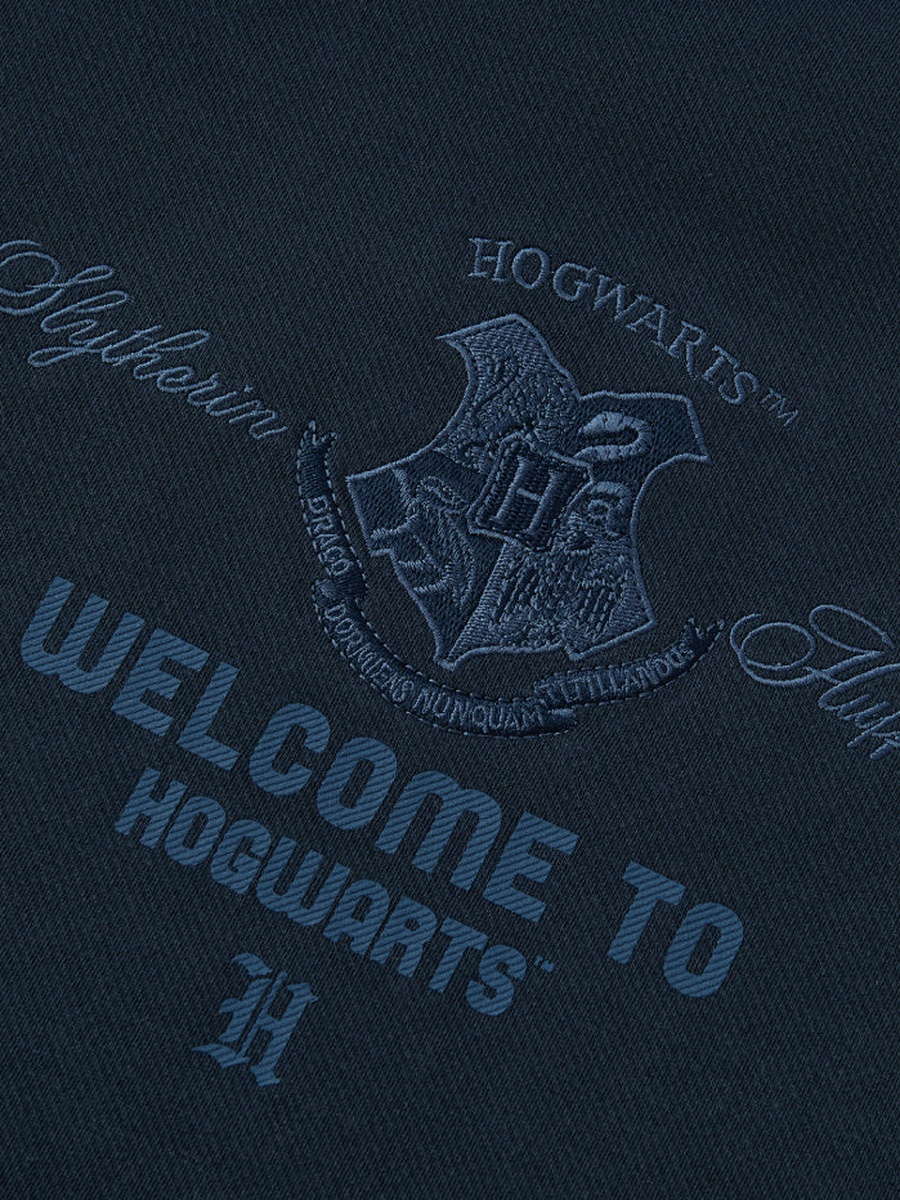 Men Sweatshirt with Crest and Back Print
