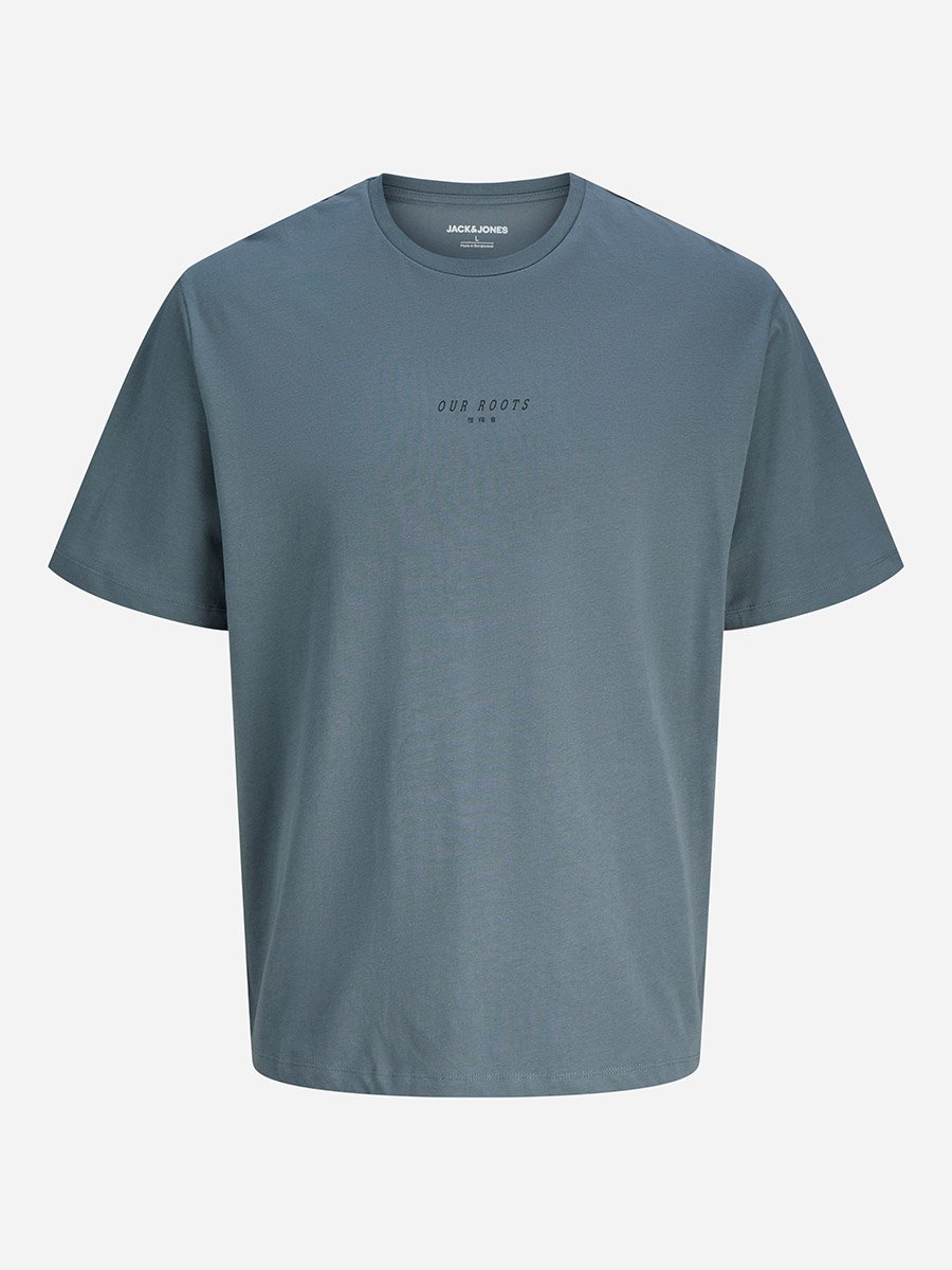 Grey Back Graphic Print Relaxed Fit T-Shirt