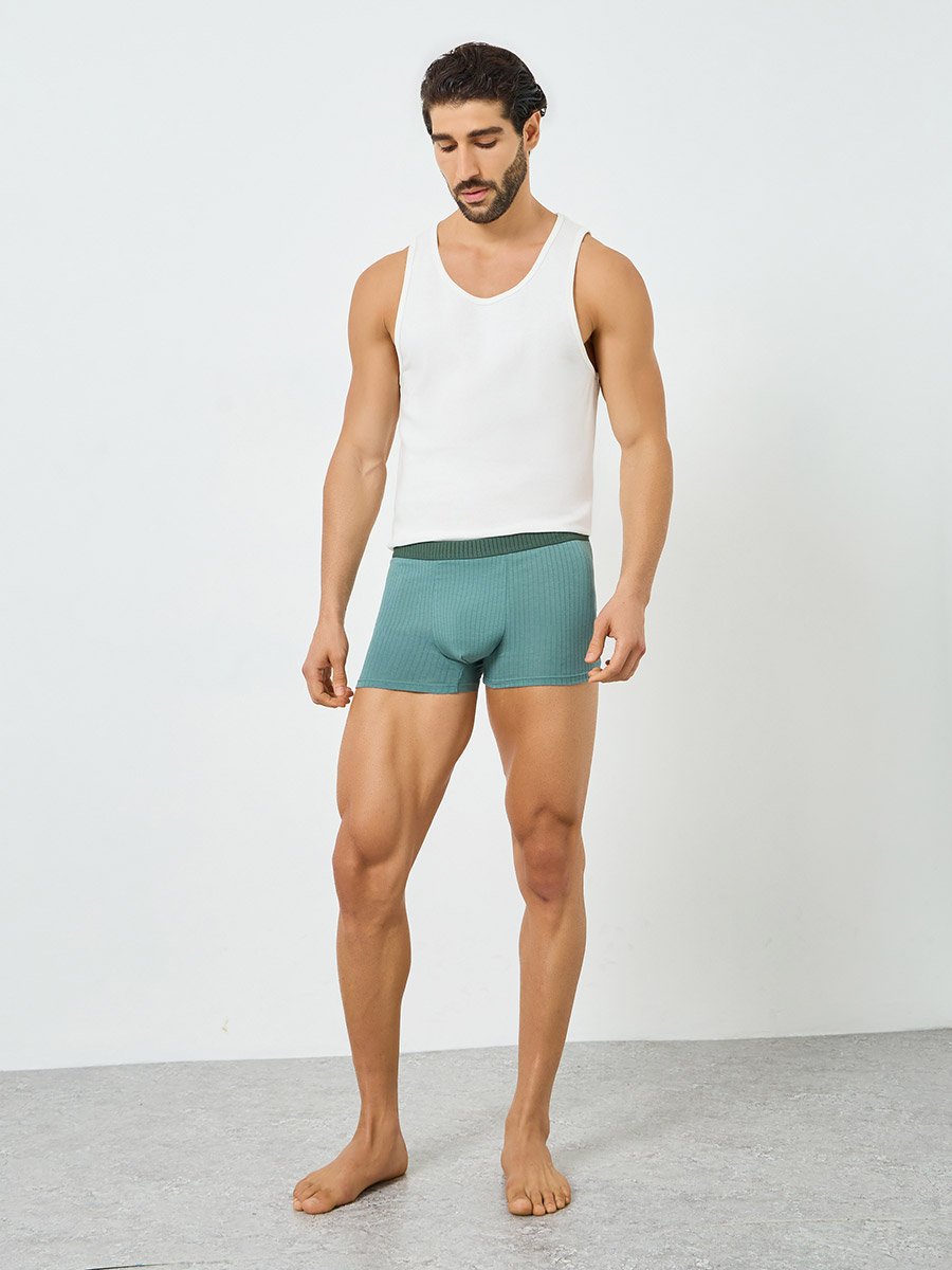 Men Teal Cotton Striped Cotton Trunks