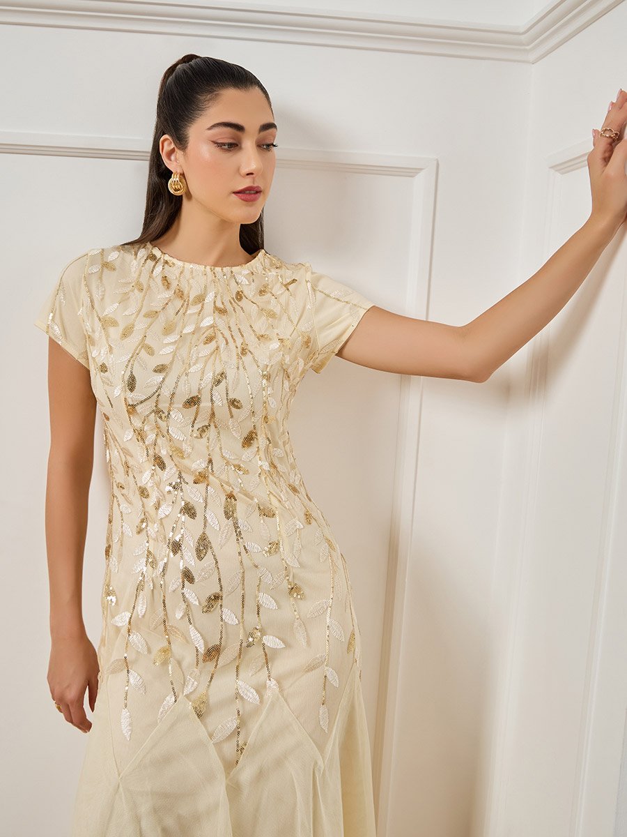 Women Beige Embroidered Mesh A-Line Maxi Dress