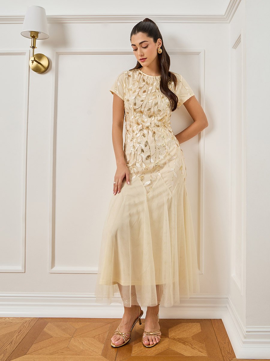Women Beige Embroidered Mesh A-Line Maxi Dress