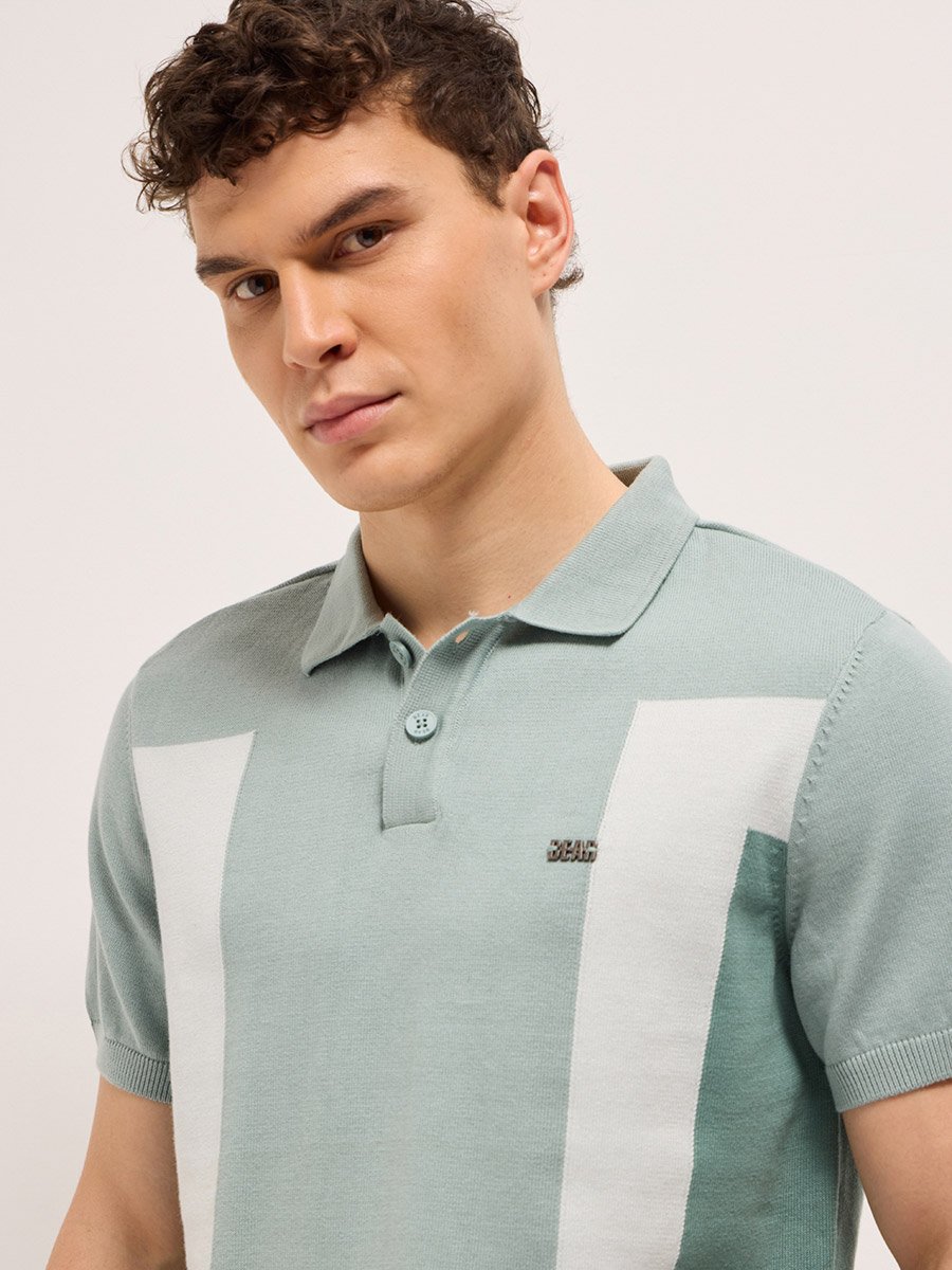Men Cotton Color Block Regular Fit Polo